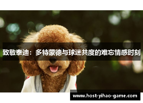 致敬泰迪：多特蒙德与球迷共度的难忘情感时刻